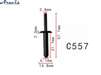 Заклепки C0557 пластиковые Chrysler 4370138 6503860 Ford N804675S 100шт